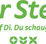 DER STERN